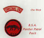 Panther Patrol Patch