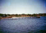 Shark Net at Kobbe Beach